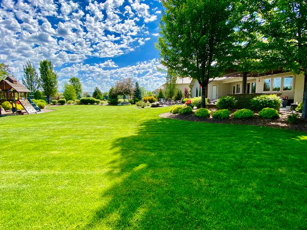 Residential Lawn Care Services In, Landscaping Companies Meridian Idaho