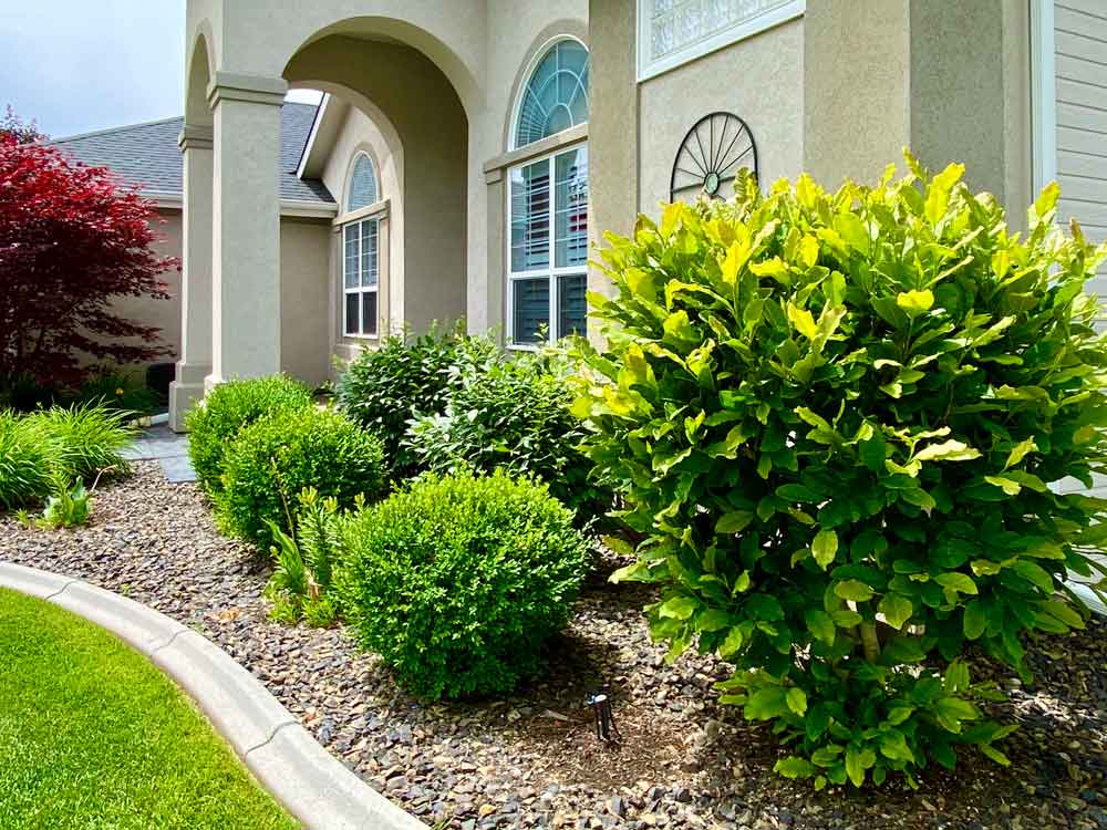 Residential Lawn Care Services In, Landscaping Companies Meridian Idaho